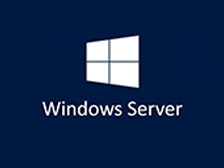 Windows Server 下载版本